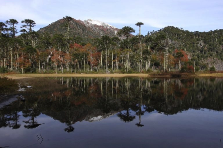 Lakes and mountains in Chile